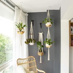 hanging planters in the corner of a room