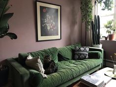 a cat sitting on a green couch in front of a window with potted plants