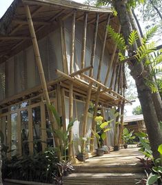 a house made out of bamboo sticks in the jungle with plants around it and stairs leading up to the front door