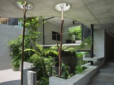 the interior of a modern house with plants and trees in pots on the steps leading to the second floor