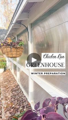 the chicken run greenhouse winter preparation is in full bloom and ready to be picked up