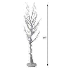 a tall tree with no leaves on it is shown in the measurements for this image