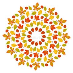 autumn leaves arranged in a circle royalty illustration