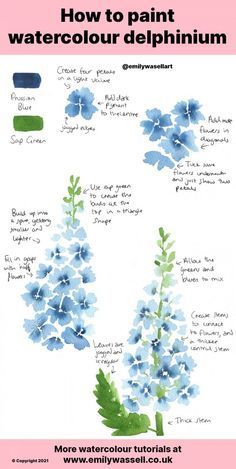 Want to paint a funloose style delphinium flower in watercolourTry this easy step-by-step tutorialcreate simple loose florals. How To Draw Delphinium, Watercolour Delphiniums, Watercolour Inspiration Easy, Watercolour Art Ideas Inspiration, Delphinium Painting, Watercolor Flower Tutorial, Beginner Watercolour, Delphinium Flower, Watercolour Tutorial