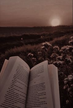 an open book sitting on top of a field next to the sun in the sky