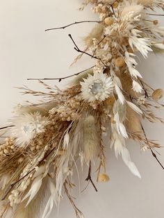 dried flowers and twigs on a white background