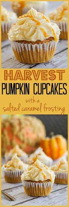 some pumpkin cupcakes with frosting on top and the words harvest pumpkin cupcakes above them