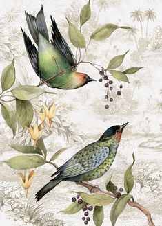 two birds sitting on top of a tree branch next to leaves and flowers with berries