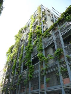 an apartment building with plants growing on the side