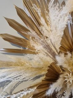 an abstract photograph of feathers and other things in the background, including one large piece of art