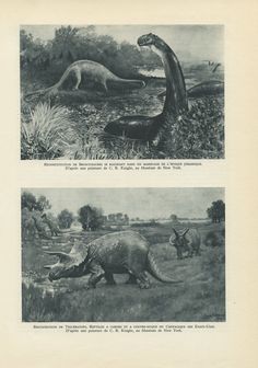 two pictures of dinosaurs in the grass