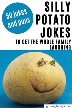 a potato with the words silly potato jokes to get the whole family laughing