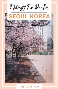 the words things to do in seoul korea with cherry blossom trees