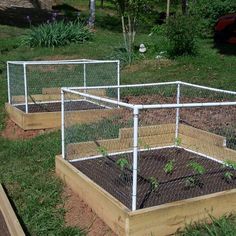 two raised garden beds with plants growing in them on top of the grass and dirt