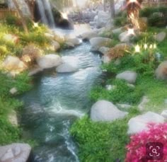 a stream running through a lush green forest filled with pink and red flowered plants