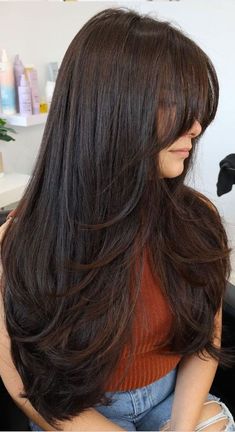 Haircut Inspo, Haircuts For Long Hair With Layers, Hair Inspiration Long, Hairstyles For Layered Hair, Long Layered Haircuts, Long Brown Hair, Haircuts For Medium Hair, Haircuts Straight Hair, Long Hair With Bangs