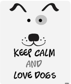 a dog with the words keep calm and love dogs