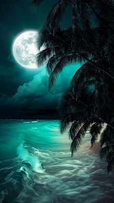 an ocean scene with palm trees and the moon in the sky over the water at night