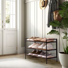 a rack with shoes and hats on it in front of a door, next to a potted plant