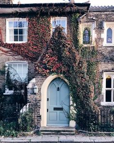 an old brick building with ivy growing on it's side and a blue door