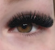 Lash Therapy, Make Up Diy, Best Lash Extensions, Lash Extensions Makeup, Short Lashes, Eyelash Extensions Styles, Lash Extensions Styles, Perfect Eyelashes, Pretty Lashes