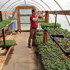 a man taking pictures of plants in a greenhouse