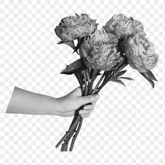 a person holding flowers in their hand with no background, hd png clipart