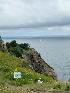 a person sitting on the side of a hill next to an ocean