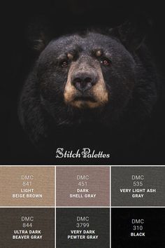 a black bear's face with the words stitch raddles in different colors