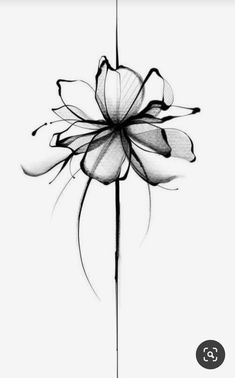 a black and white photo of a flower