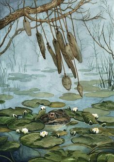 the frog is swimming in the pond with its head above water lilies and other plants