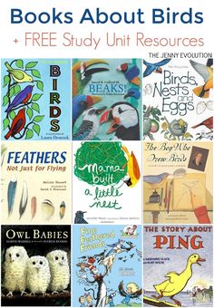 books about birds and free study unit resources for the elementary classroom, including children's books