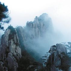 the mountains are covered in thick fog and low hanging pine trees, with tall rocks on either side