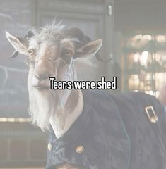 a goat with the words tears were shed on it's face, and an image of