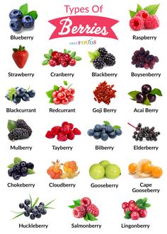 the types of berries and their names