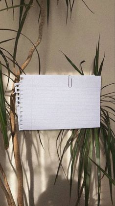 a notepad sitting on top of a plant next to a wall