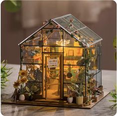 a miniature house made out of glass with plants inside