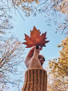 a person holding up a leaf in the air