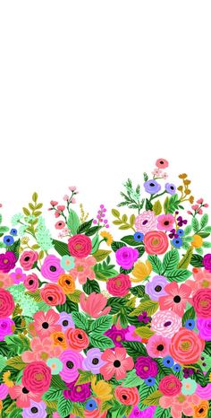 an image of colorful flowers on a white background