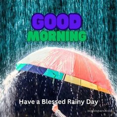 a person under an umbrella in the rain with text reading good morning have a blessed rainy day