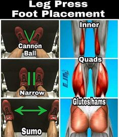 the legs and feet are shown with different muscles