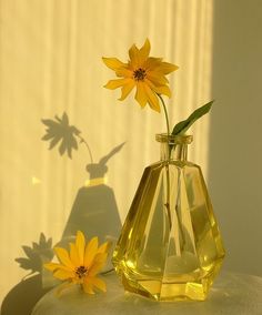 a yellow flower in a glass vase next to the shadow of a wall behind it