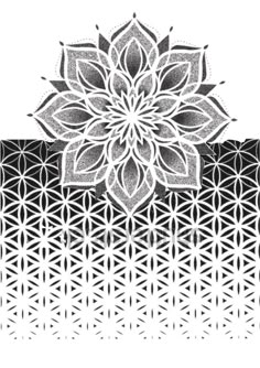 a black and white drawing of a flower on top of a piece of paper with geometric shapes