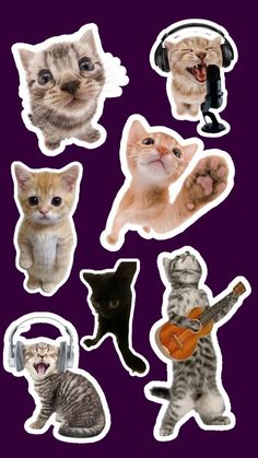 several stickers with different types of cats and kittens on them, including one playing the guitar