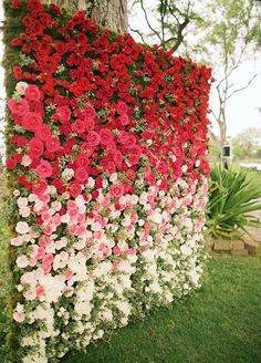 flowers are growing on the side of a tree in front of some grass and trees