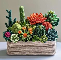 a crocheted planter with cacti and succulents