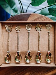 six brass spoons in a box on top of a wooden table next to a potted plant