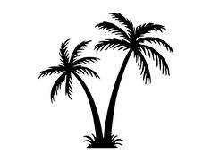 two palm trees on a white background