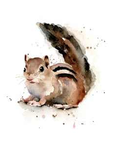 a watercolor painting of a chipmun sitting on the ground with its tail up