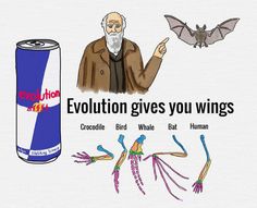 an old man is pointing to the side of a can and two flying insects are in front of him